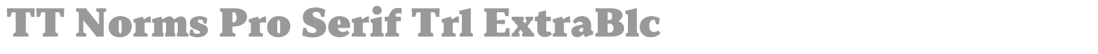 TT Norms Pro Serif font preview